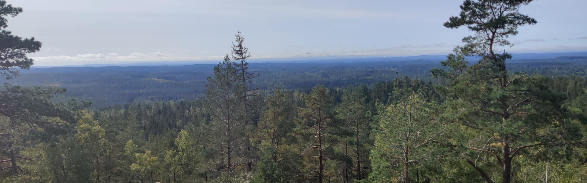 Vandring i Skurugata
