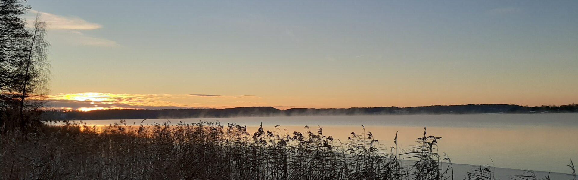 Julmarknad i Sigtuna