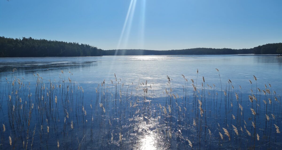 Vandring runt Stora Hammarsjön