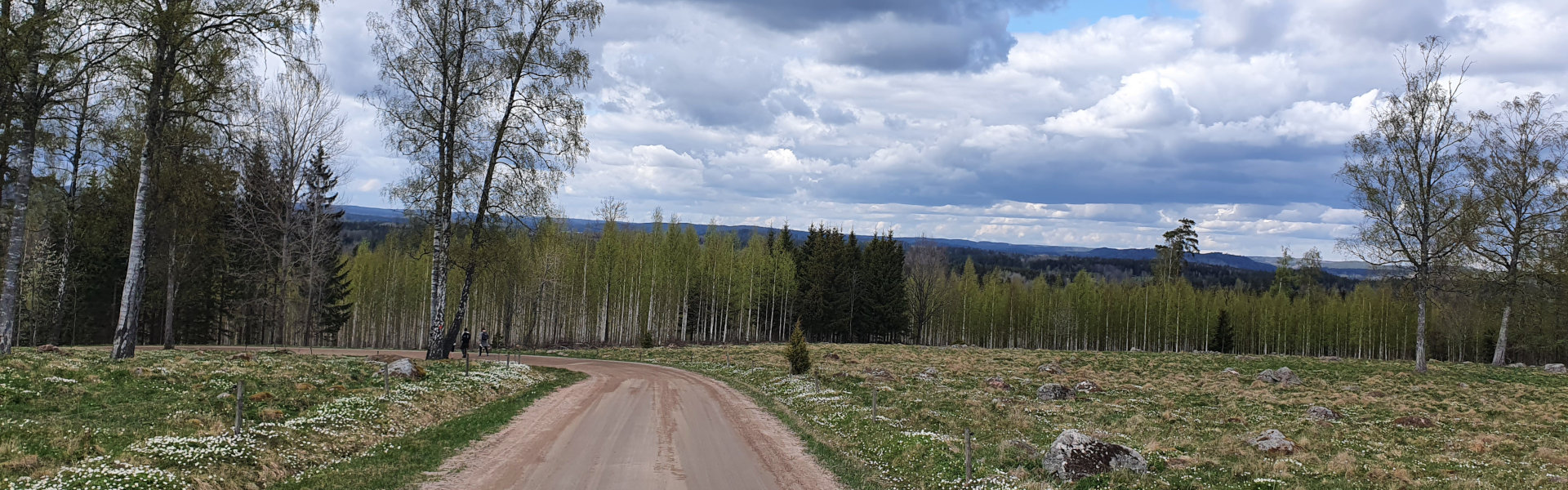 Vandring till Brantefall